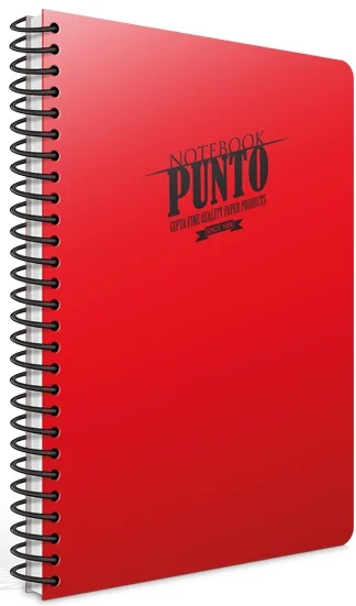 GIPTA DEFTER PUNTO A4 SPİRALLİ PP KAPAK 60 YP. KARELİ 6533