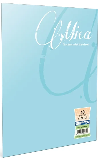 GIPTA DEFTER MICA A4 TEL DİKİŞLİ PP KAPAK 100 YP. DÜZ 2973