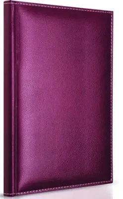 GIPTA DEFTER MODELIST 17X24 İPLİK DİKİŞLİ DERİ KAPAKLI 160 YP. KARELİ 1604