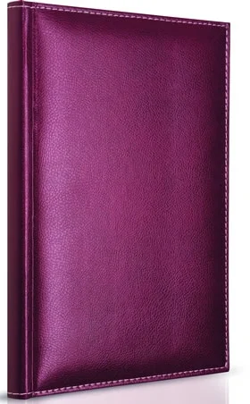 GIPTA DEFTER MODELIST 17X24 İPLİK DİKİŞLİ DERİ KAPAKLI 160 YP. KARELİ 1604