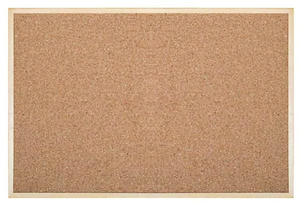 İNTER MANTAR PANO EKO ÇERÇEVE 45X60 511