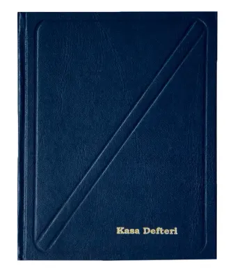 DİLMAN KASA DEFTERİ CİLTLİ 20x28 368 YP 6307