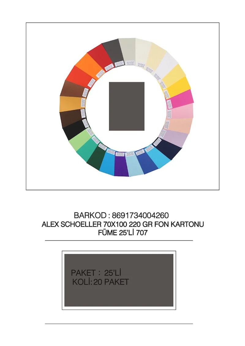 ALEX FON KARTONU ARTİST 220GR 70X100 FÜME 25 Lİ 707