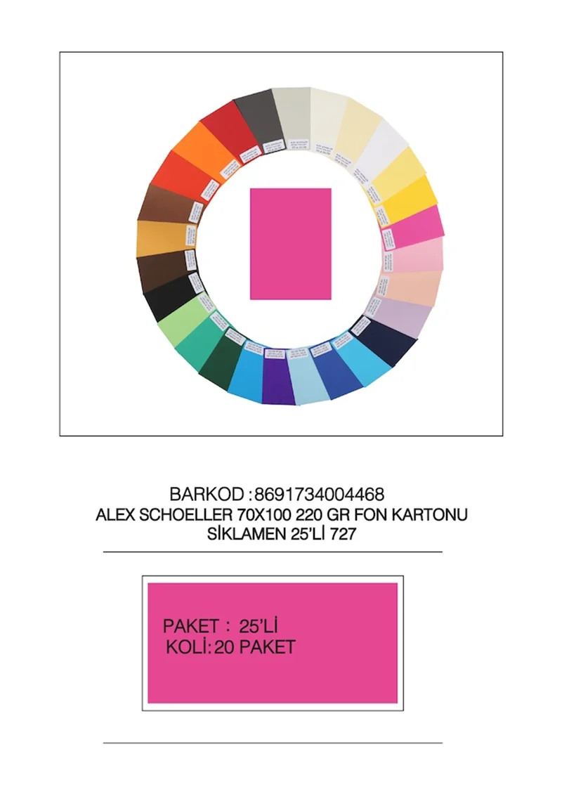 ALEX FON KARTONU ARTİST 220GR 70X100 SİKLAMEN 25 Lİ 727