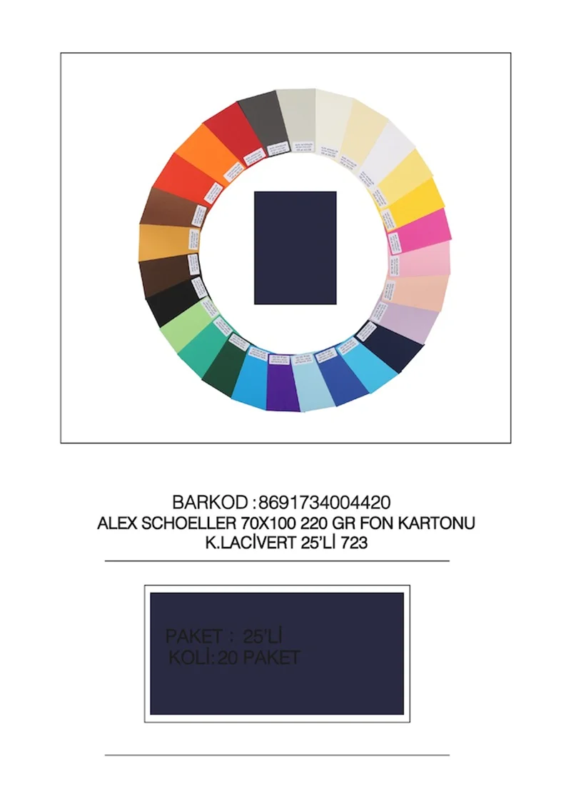 ALEX FON KARTONU ARTİST 220GR 70X100 K.LACİVERT 25 Lİ 723