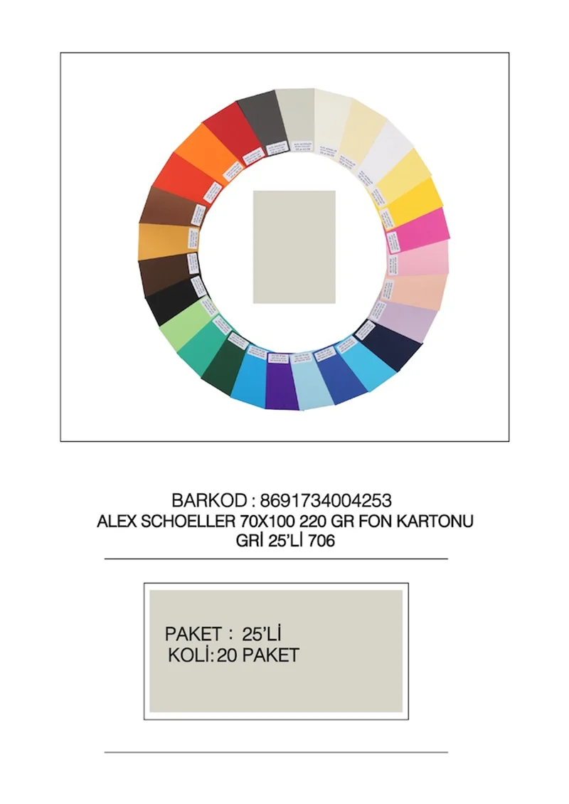 ALEX FON KARTONU ARTİST 220GR 70X100 GRİ 25 Lİ 706