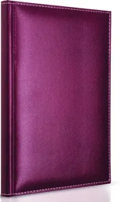 GIPTA DEFTER MODELIST 17X24 İPLİK DİKİŞLİ DERİ KAPAKLI 160 YP. ÇİZGİLİ 1603