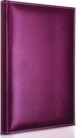 GIPTA DEFTER MODELIST 17X24 İPLİK DİKİŞLİ DERİ KAPAKLI 160 YP. ÇİZGİLİ 1603