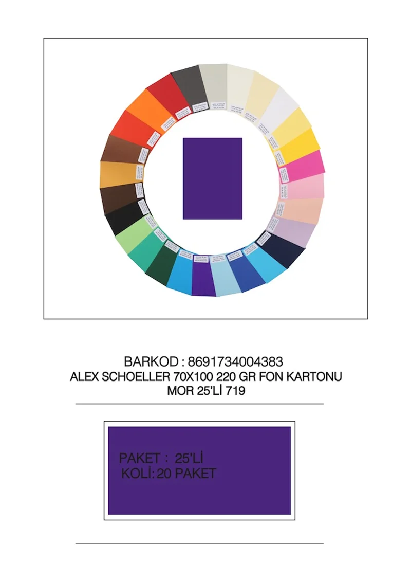 ALEX FON KARTONU ARTİST 220GR 70X100 MOR 25 Lİ 719