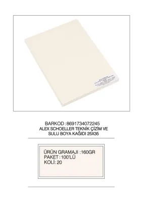ALEX SULUBOYA KAĞIDI 25x35 160GR 100 LÜ 25