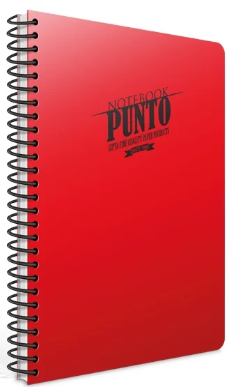 GIPTA DEFTER PUNTO A4 SPİRALLİ PP KAPAK 80 YP. KARELİ 6535