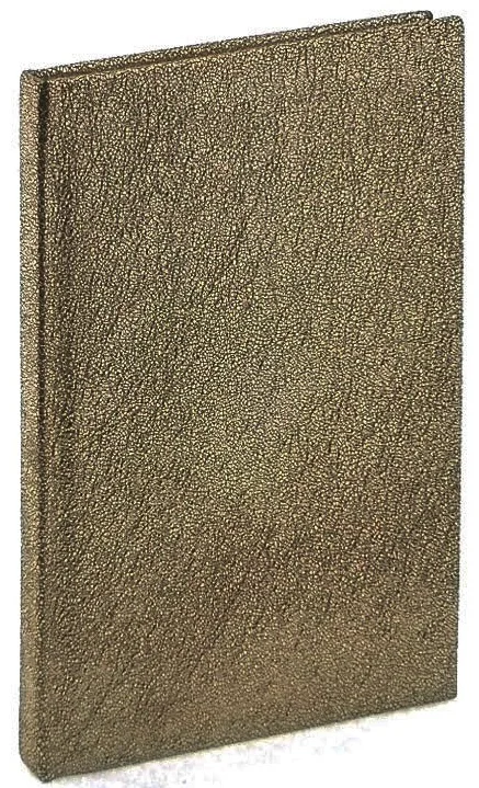 LİZ DEFTER 10x14 FANCY VARAKLI KAR. İKV123K