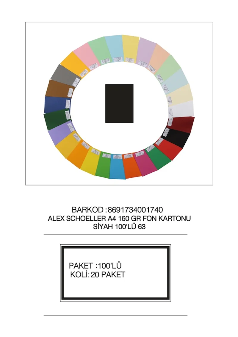 ALEX FON KARTONU 160GR A4 SİYAH 100 LÜ 63