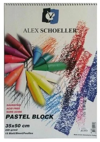 ALEX FON BLOK ARTİST 220GR 35x50 PASTEL 15 Lİ ALX-851