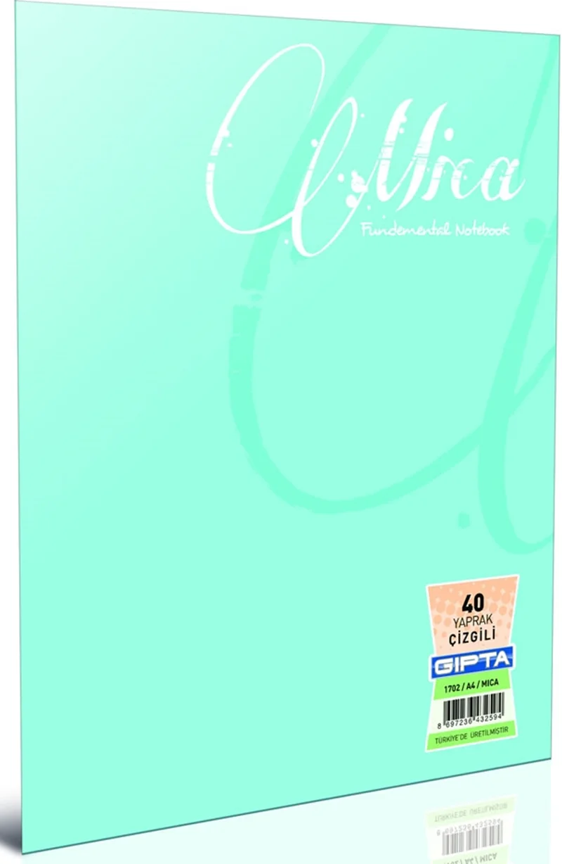 GIPTA DEFTER MICA A4 TEL DİKİŞLİ PP KAPAK 60 YP. ÇİZGİLİ 1704