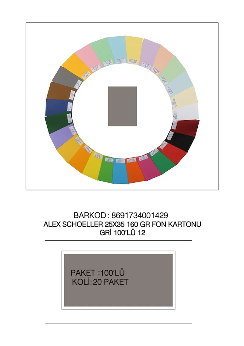ALEX FON KARTONU 160GR 25X35 GRİ 100 LÜ 12