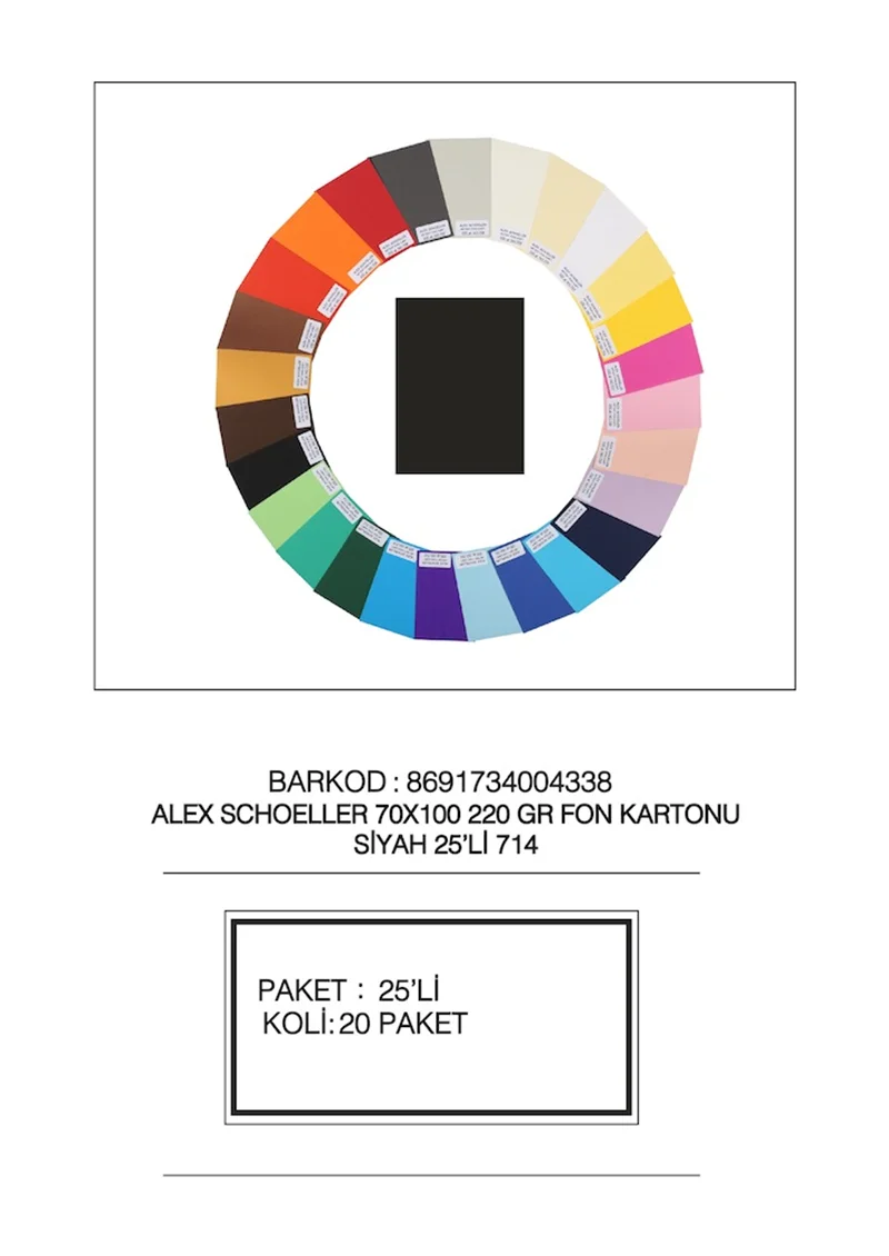 ALEX FON KARTONU ARTİST 220GR 70X100 SİYAH 25 Lİ 714