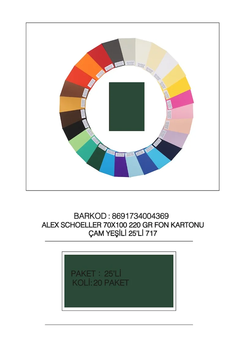 ALEX FON KARTONU ARTİST 220GR 70X100 ÇAM YEŞİL 25 Lİ 717