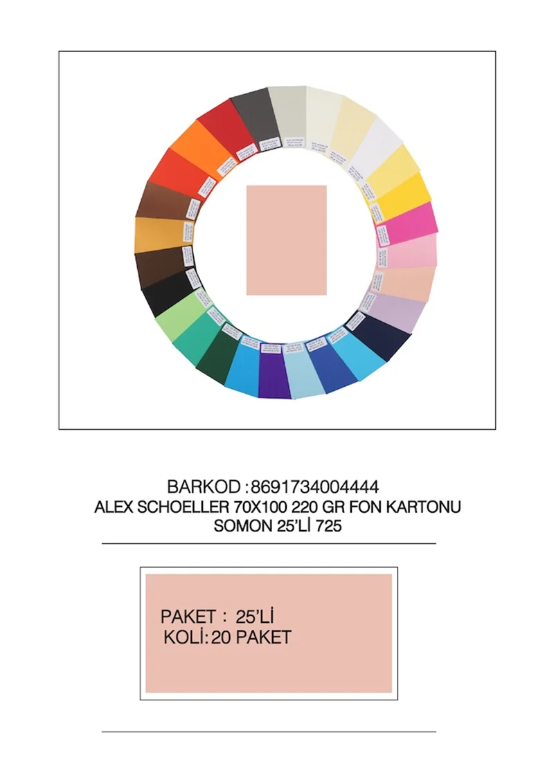 ALEX FON KARTONU ARTİST 220GR 70X100 SOMON 25 Lİ 725
