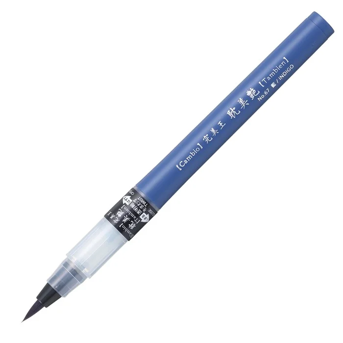 PASİF ZIG CAMBIO TAMBIEN PEN INDIGO 067 X050T