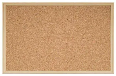 İNTER MANTAR PANO MDF ÇERÇEVE 45X60 303-M