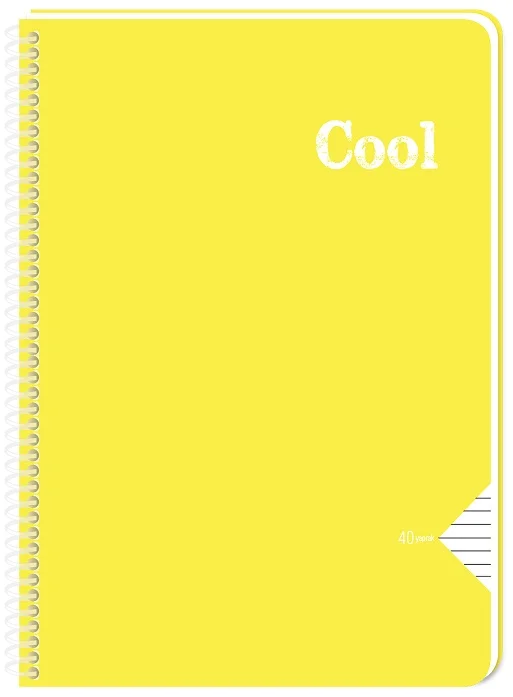 KESKİN DEFTER FREE A4 PP KAPAK SPİRALLİ 60 YP. DÜZ 320400