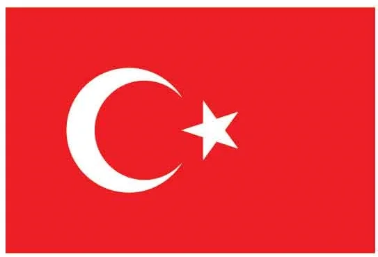 BUKET BAYRAK MASAÜSTÜ 15X22,5 ÇİFT KATLI BKT-136
