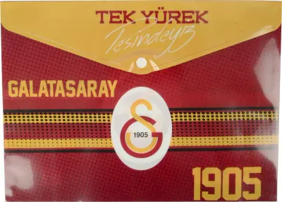 TİMON ÇITÇITLI DOSYA GS 1905 464500