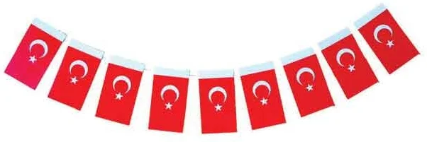 BUKET BAYRAK İPLİ BÜYÜK TÜRK 11x18 CM 40 LI BKT-303