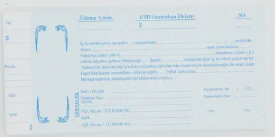 DİLMAN SENET DOLAR 100 LÜ 2317