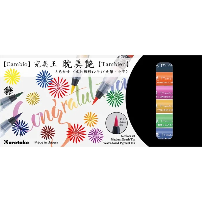 PASİF ZIG CAMBIO TAMBIEN PEN 6 LI SET X050T/6VB