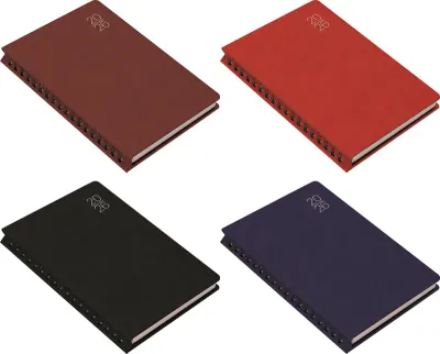 GIPTA AJANDA GÜNLÜK 17x24 FOX DIARY 209-FSK