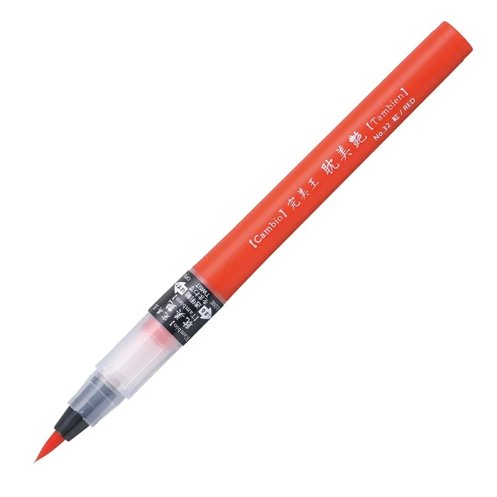 PASİF ZIG CAMBIO TAMBIEN PEN  032 X050T