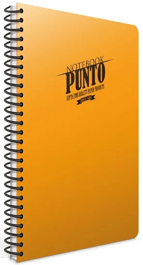 GIPTA DEFTER PUNTO A5 SPİRALLİ PP KAPAK 80 YP. ÇİZGİLİ 3386