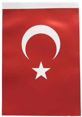 BUKET BAYRAK 20X30 BKT-101