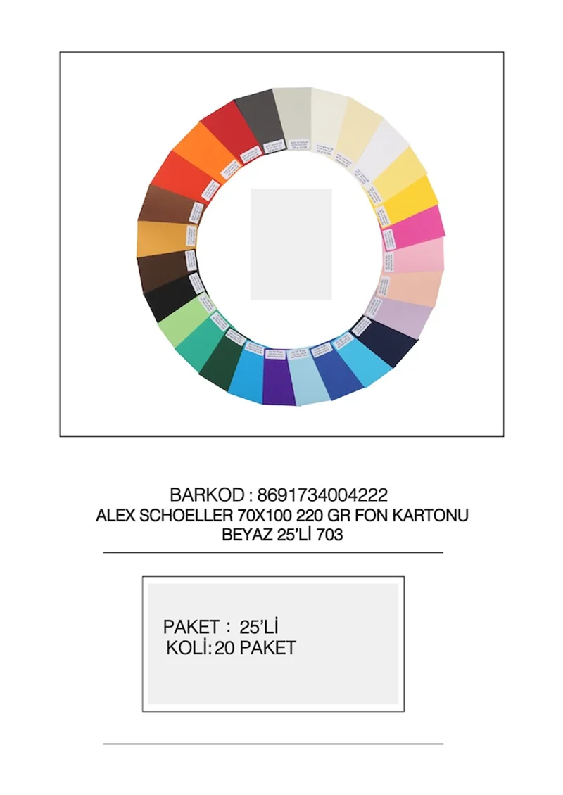 ALEX FON KARTONU ARTİST 220GR 70X100 BEYAZ 25 Lİ 703