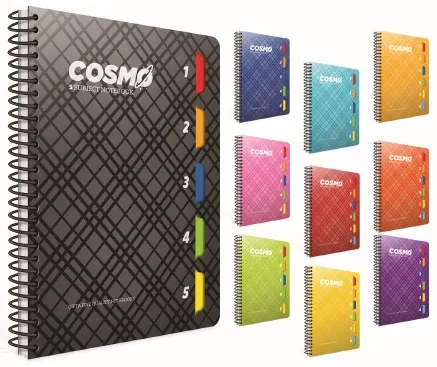 GIPTA DEFTER COSMO 17X24 SPİRALLİ 5 SEPARATÖRLÜ PP KAPAK 150 YP. ÇİZGİLİ 3988