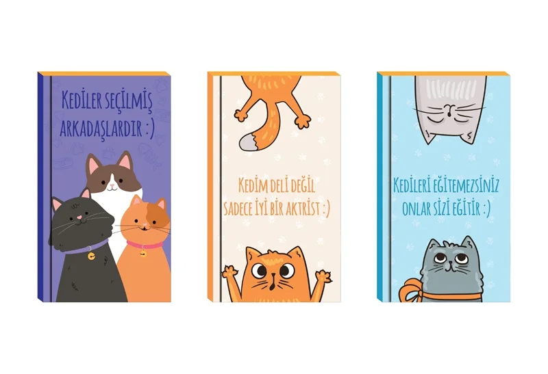 LİLAMOR KEDİ DEFTER 9X16 48 SYF.60'LI (5 ASS.) LLM-DF0916-KD01