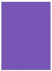 CRAFT AND ARTS FON KARTONU 50x70 160 GR PASTEL LİLA 30000346