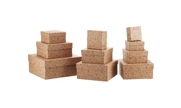 GIPTA KUTU SETİ 5 Lİ CACTUS KARE SET BX24770