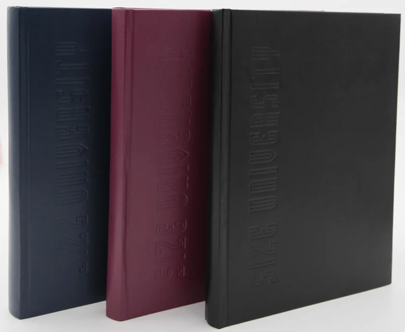 DİLMAN DEFTER ÜNİVERSİTE DİKİŞLİ SERT KAPAK 20x28 300 YP ÇİZGİLİ 6816