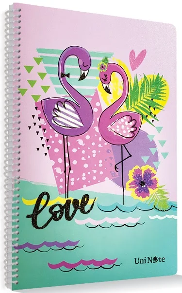 ÇINAR DEFTER A4 DREAM SPİRALLİ PP KAPAK 60 YP. ÇİZGİLİ 72504