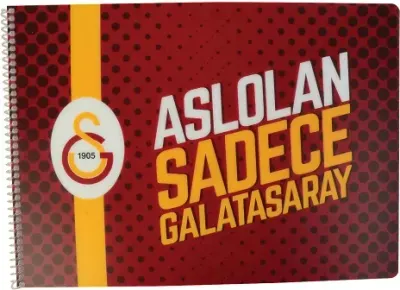 TİMON RESİM DEFTERİ 24x34 GS PP SPR.25YP. 463631