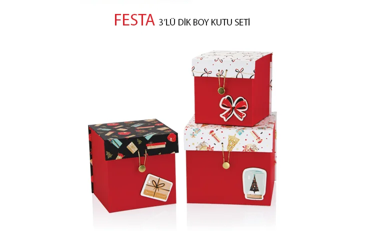 GIPTA KUTU SETİ 3 LÜ DİK FESTA BX27450