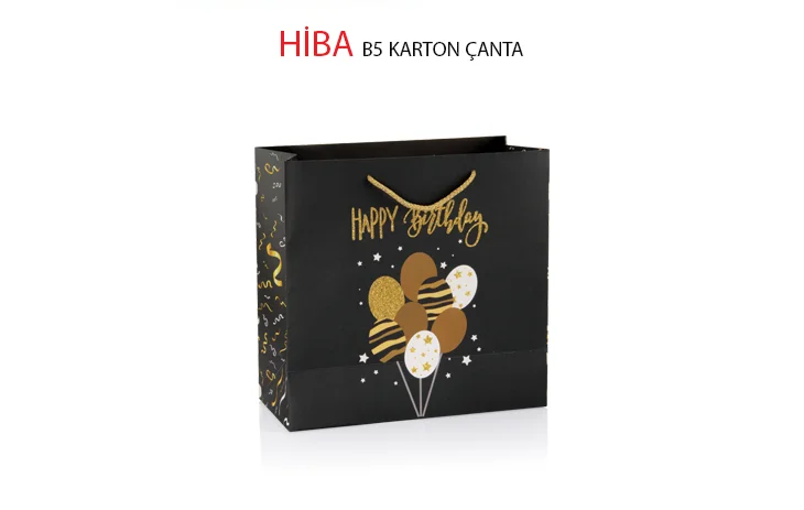 GIPTA KARTON ÇANTA B5 HİBA 4-BG28170-2161