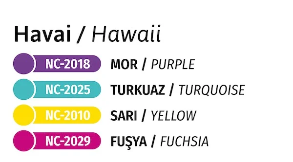 NOVA COLOR AKRİLİK POURİNG SET HAWAİİ NC-2508