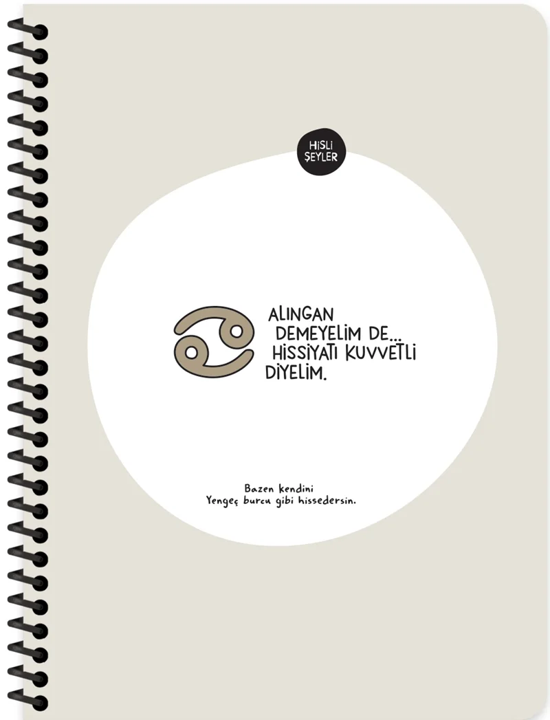 KESKİN DEFTER HİSLİ ŞEYLER BURÇLAR SERİSİ 16.5x22.5 SPİRALLİ KARTON KAPAK STICKERLİ 80 YP. KARELİ 50