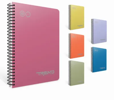 GIPTA TREND SP.PP KAPAK DEFTER A4 100 CIZGILI 3-7168000-2011