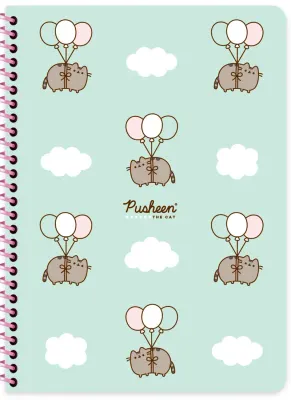 KESKİN DEFTER PUSHEEN 16,5x22,5 SPİRALLİ KARTON KAPAK 80 YP. KARELİ 380632-10