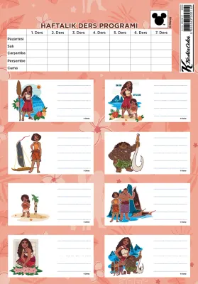 KESKİN ETİKET DERS PROGRAMLI 3 LÜ MOANA 220130-17